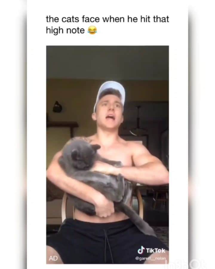OUR FAVORITE CATSのインスタグラム：「The cats face is priceless when he hits that note!」