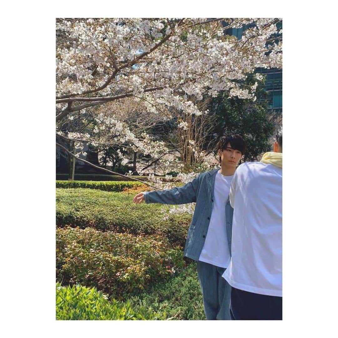 朝田淳弥のインスタグラム：「. 前のpic.  #朝田淳弥 #桜 #オフショット」