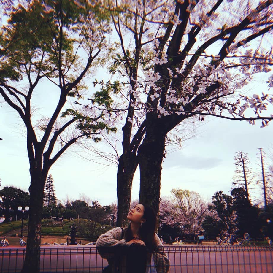 脇田もなりのインスタグラム：「いつかの咲き始めたばかりの今年の桜🌸 たまたま近くまで来たので見れてよかった。😭 昨日からお家時間始まったけど、楽しく過ごそうね！！🥰 お家配信準備進んでます♪ 明日か明後日には色々出来ちゃいます！ 少しお待ち下さい☆  体調に気をつけてね！！ 컨디션에주의！！ #sakura #🌸 #japan #wakitamonari #singer #벚꽃 #2019 #3月 #가수 #お家時間」