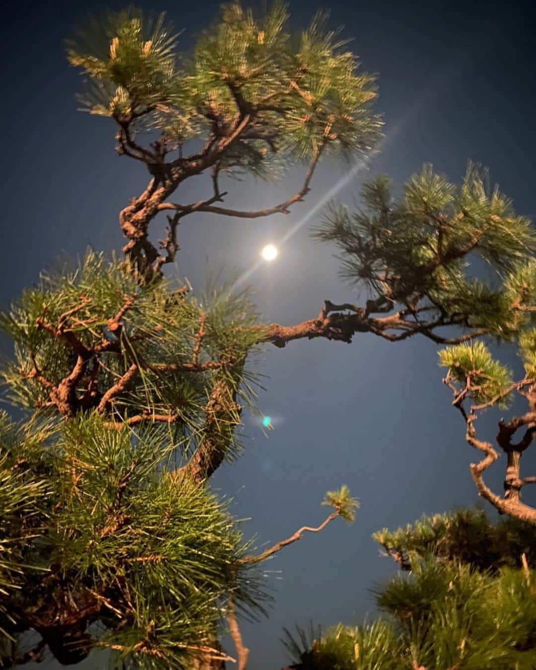 ヒデトレのインスタグラム：「super moon🌝  空をみて✨お月様がきれいだね〜☺️ ， ， 上を向いて歩こう👆🏼😊 ， 🚶🏻‍♀️🚶🏻🚶🏻‍♂️」