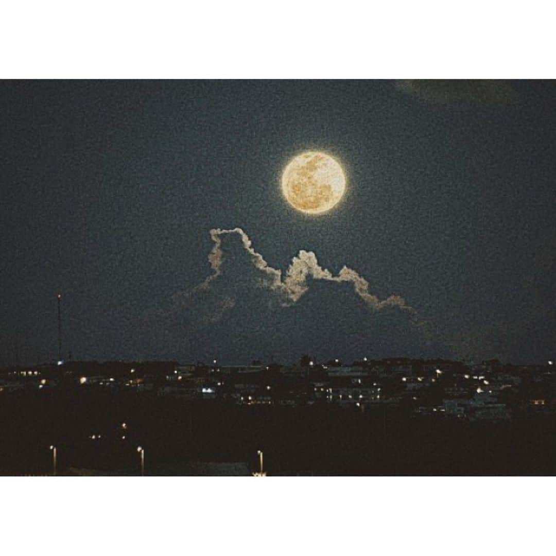 猪鼻ちひろのインスタグラム：「🌕 願いたいこと祈りたいこと、いっぱい。 兎にも角にも笑顔と愛で溢れる 穏やかな日常がいいなぁと。」