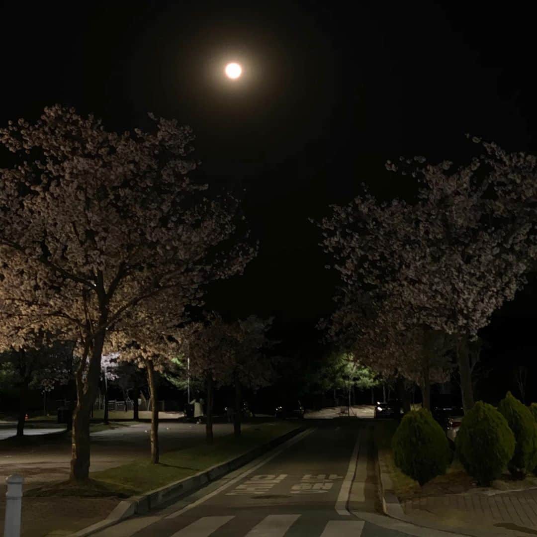 キム・イェウォンさんのインスタグラム写真 - (キム・イェウォンInstagram)「달이 너무 예쁘게 동그랗다 하늘에 구멍 난 거 같기도 하고 #밤좋아🌰」4月8日 23時32分 - yeeee_kk