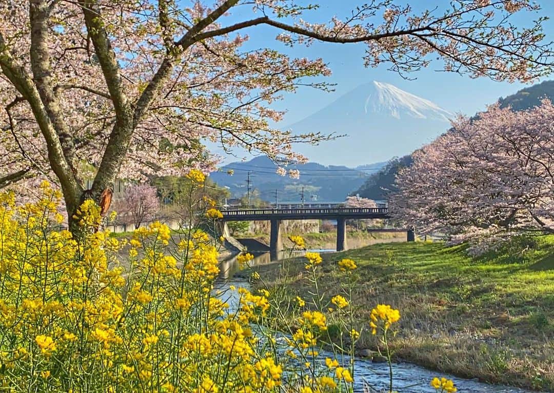 phantastic420のインスタグラム：「. 🤩🤩“Shizuoka” prefecture in Japan is a place where you can see the most “phantastic” Mt. Fuji🗻 in the world.🤩 #富士山 #mtfuji #japan #shizuoka #fujinomiya  #phantastic420photography #mostphantasticmtfuji #selamatpagi  #goodmorning  #おはようございます 😇😇😇😇😇😇😇🗻😇😇😇😇」