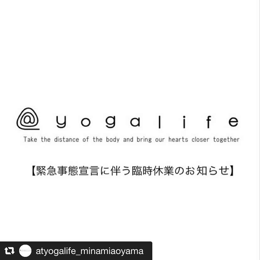 のインスタグラム：「#repost @atyogalife_minamiaoyama via @PhotoAroundApp ・ 【緊急事態宣言に伴う臨時休業のお知らせ】﻿ ﻿ いつも@ yoga life南青山店/府中店 をご利用いただき誠にありがとうございます。﻿ ﻿ この度の緊急事態宣言の発令に伴い、下記の日程も今週に引き続き全てのクラスを休講とさせていただきます。﻿ ﻿ 【スタジオ営業休止期間】﻿ 2020年4/月14日(火)-5月6日(水)﻿ ※休業期間中のお問い合わせは全てメールかInstagramのDMにて承っております。﻿ ﻿ 5/7(木)〜営業再開を予定しておりますが、今後の政府の要請や社会情勢に伴い、内容・期間が変更する場合もございます。﻿ ﻿ 随時ホームページ・SNS等でお知らせいたしますので、ご確認をお願い致します。 ﻿ ﻿ 休業期間中は、施設の管理及び清掃、今後も安全にお客様をおもてなしできるよう体制を整え、営業再開に向け取り組んでまいります。﻿ ﻿ ﻿ 【レギュラー会員の皆様へ】﻿ ﻿ ※3月末に既にお支払いいただいております4月分の月会費はそのままオンラインヨガレッスン受け放題の会費に充当させていただきます。オンラインが使用できない等、不具合ございましたら対応させていただきますのでメールにてお問い合わせください。﻿ ﻿ ※5月度からの休会・退会を希望される場合は、4/10(金)までにメールにてご連絡ください。﻿ ﻿ 尚、4/14(火)-5/6(水)休業期間中のヨガレッスンは、全てオンラインレッスンにて特別スケジュールで対応して参ります。随時スケジュールアップしていきますので、今しばらくお待ちください。﻿ ﻿ 自粛期間が続きますが、みなさまの#おうち時間　が少しでも楽しく心身共にリフレッシュできるよう@yoga lifeでは様々なコンテンツ・レッスンスケジュールを企画していきます！﻿ ﻿ 私たちに"今"できることを、﻿ 精一杯考えて行動にうつしていきますので、﻿ 何卒宜しくお願い致します。🌍🌱🙏﻿ ﻿ #stayhome﻿ ﻿」