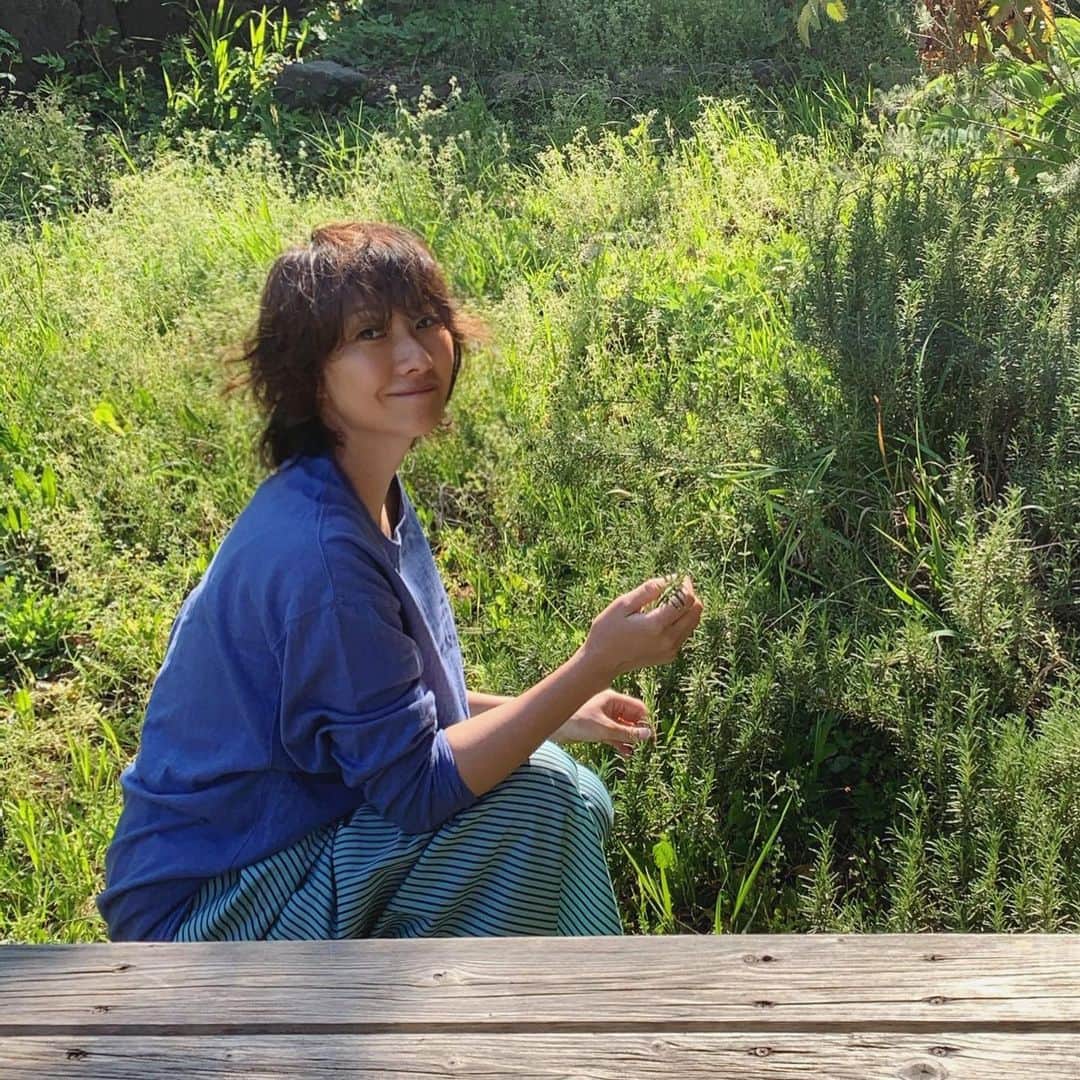 風間ゆみえのインスタグラム：「植物とともにある暮らし  今はとても良い季節です  これからは少しづつ虫たちが沢山賑わいできますが、それまでは鳥の囀りが心地良い、風が心地良い、心地良いばかり  4月山桜もそろそろ葉桜に色を変える  緑色の季節に移ろいゆく  PS... SENSE OF SEASONセミナー 春のdetoxを受講していただいた皆さま 春のケアはしっかりできましたか？  #春のフィトテラピー #SENSEofSEASON #植物療法士  #植物療法」