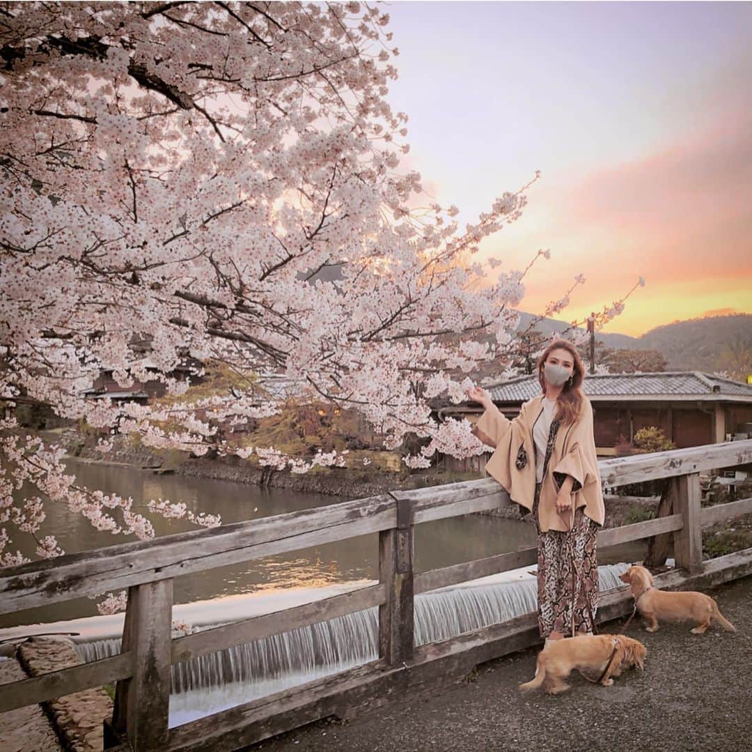 鈴木絢子のインスタグラム