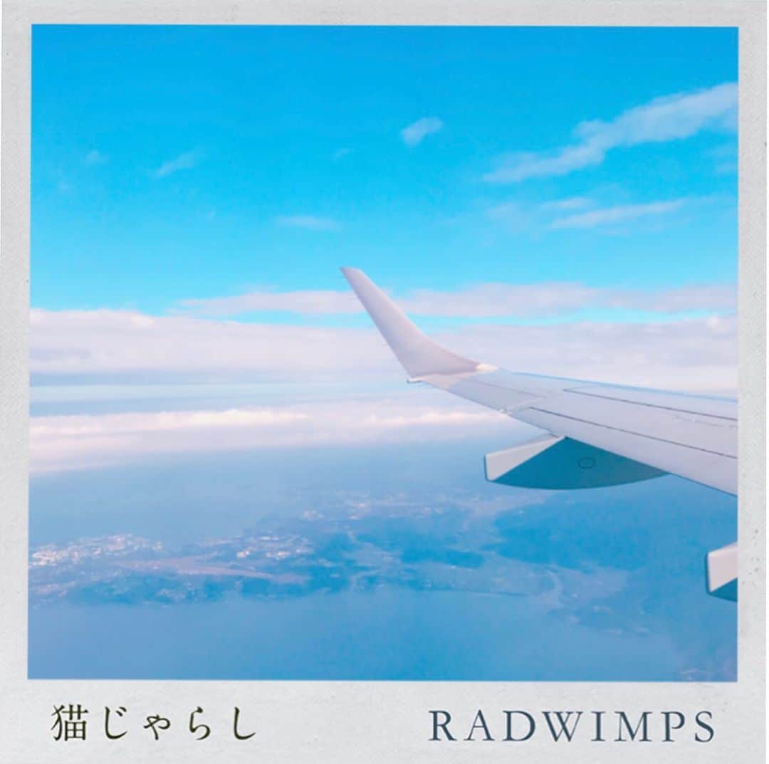 のインスタグラム：「歌でいろんな出逢いをしに、いろんな場所へ出かけていた日々 ・ ・  #RADWIMPS #RADnekojarashi  #猫じゃらし」