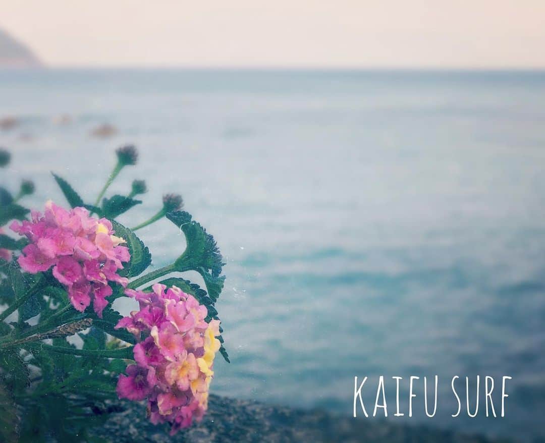 のインスタグラム：「徳島の県南の海🏖」