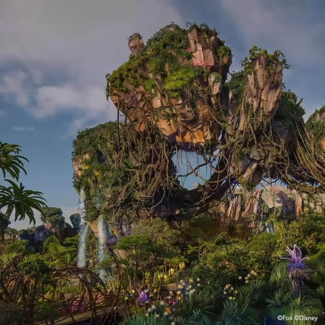 Walt Disney Worldのインスタグラム：「Breathe in, breathe out, and see something to smile about! Check the link in our bio to see our favorite moments of zen from Walt Disney World Resort, like this peaceful view of Pandora. ✨#DisneyMagicMoments」