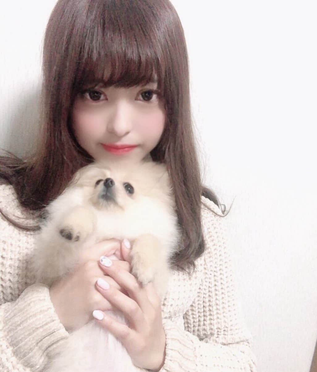 桜もこさんのインスタグラム写真 - (桜もこInstagram)「ぴぴもこ💖  #mypet #dog #犬　#love #ポメラニアン #クリーム　#cute #instlove #instagram #happy #japanese #japanesegirl #japanesemodel #asiangirl」4月9日 0時35分 - mokochan319