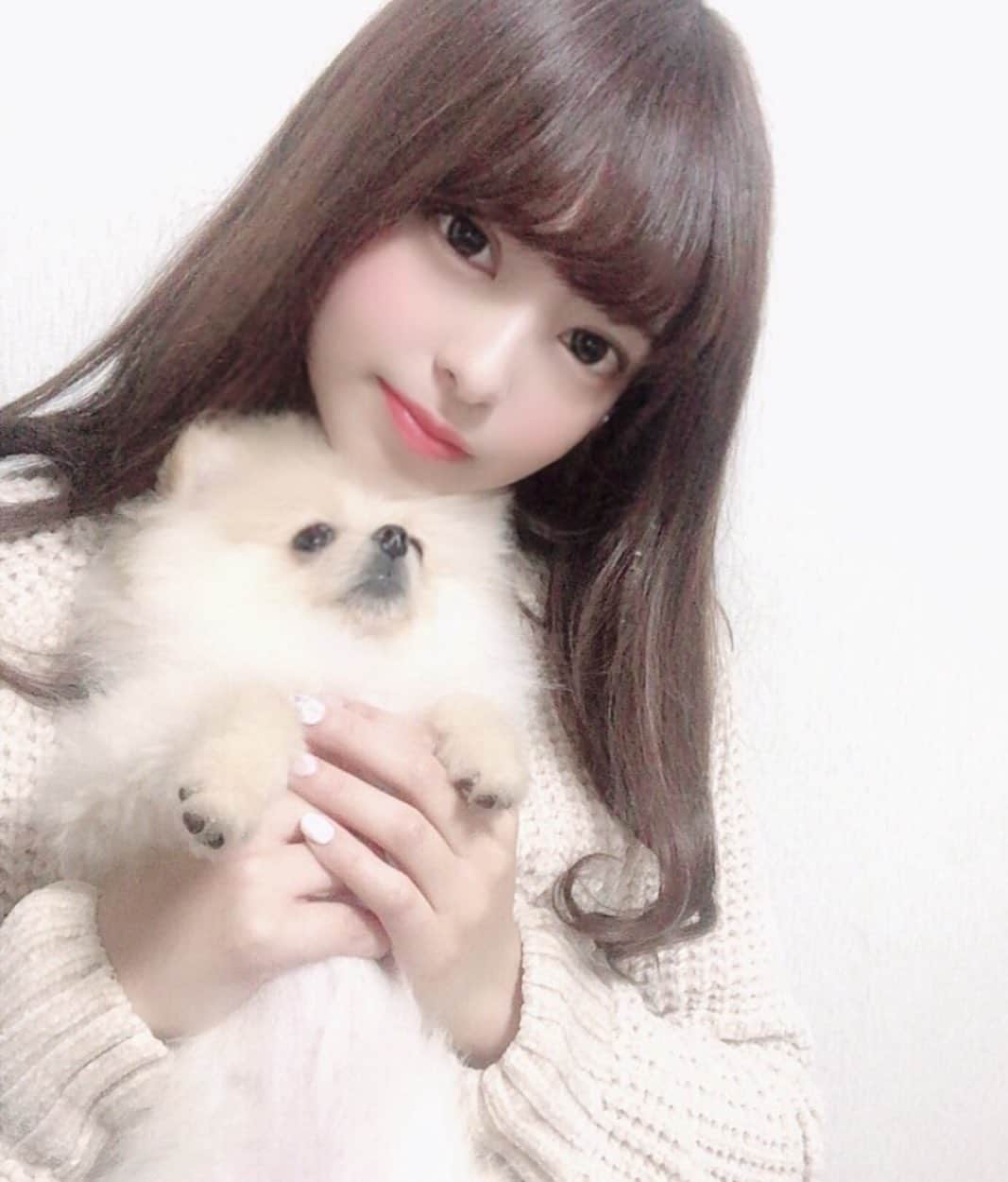 桜もこさんのインスタグラム写真 - (桜もこInstagram)「ぴぴもこ💖  #mypet #dog #犬　#love #ポメラニアン #クリーム　#cute #instlove #instagram #happy #japanese #japanesegirl #japanesemodel #asiangirl」4月9日 0時35分 - mokochan319