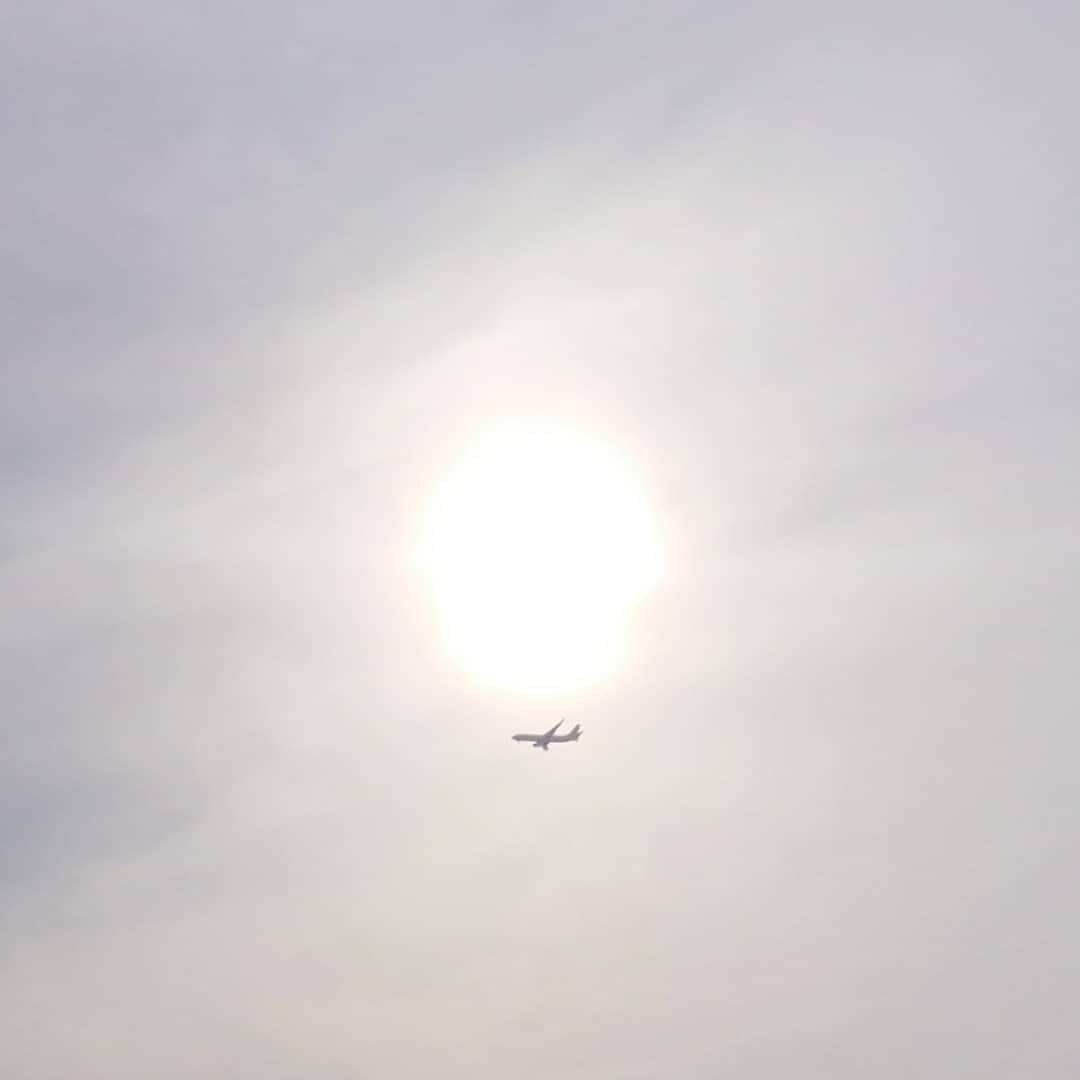 のインスタグラム：「あの飛行機に何人の人が乗っているのかな。 飛行機も新幹線もガラガラって話を聞きますよね。 どうしても！！という事情がある時は仕方ないと思いますが、今は不要な移動は避けるのが賢明。 うちの親ももう高齢なので心配だけど、会いに行って何かあったら絶対に後悔するから…ここは我慢😣 #空を見上げて #太陽を背に #飛行機」