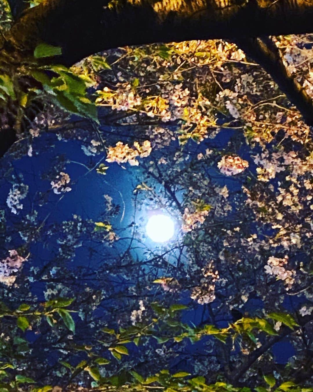 山田佳子さんのインスタグラム写真 - (山田佳子Instagram)「今夜はスーパームーン🌕 満月の降り注ぐパワーをたくさんもらって、元気をチャージ！  #きれい #満月 #スーパームーン #祈り #パワー #夜空」4月9日 0時55分 - yoshiko117