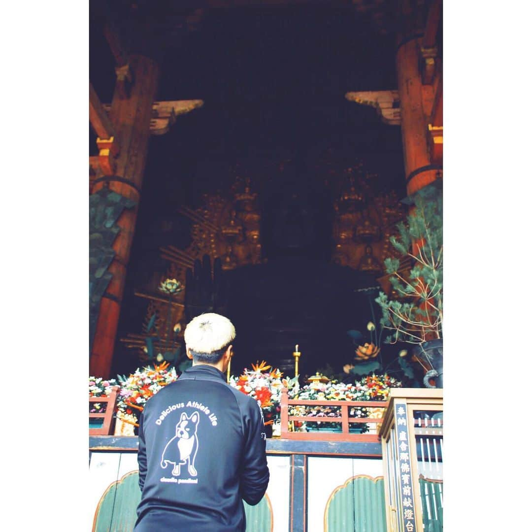 北野貴之さんのインスタグラム写真 - (北野貴之Instagram)「東大寺の桜も綺麗っだった！ 1268年前にできた、奈良の大仏。 3度も災害もあり、補修をして、造るのに7年もかかった奈良の大仏。 7年とは、すごい年月。  #奈良」4月9日 2時06分 - takashi_kitano