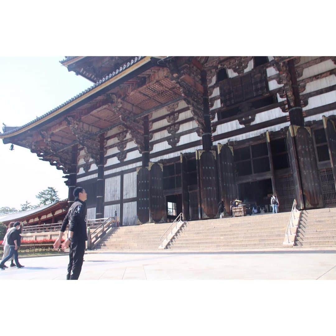 北野貴之さんのインスタグラム写真 - (北野貴之Instagram)「東大寺の桜も綺麗っだった！ 1268年前にできた、奈良の大仏。 3度も災害もあり、補修をして、造るのに7年もかかった奈良の大仏。 7年とは、すごい年月。  #奈良」4月9日 2時06分 - takashi_kitano