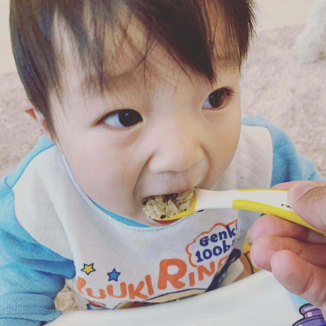 杉浦太陽さんのインスタグラム写真 - (杉浦太陽Instagram)「あ〜ん！ もぐもぐ…  2枚目、美味しい！ってより、 うめぇ〜って顔w  @sugiurataiyou_official  #コアしゃん #1歳4カ月 #もぐもぐコアしゃん #うめぇ顔」4月9日 15時15分 - sugiurataiyou_official