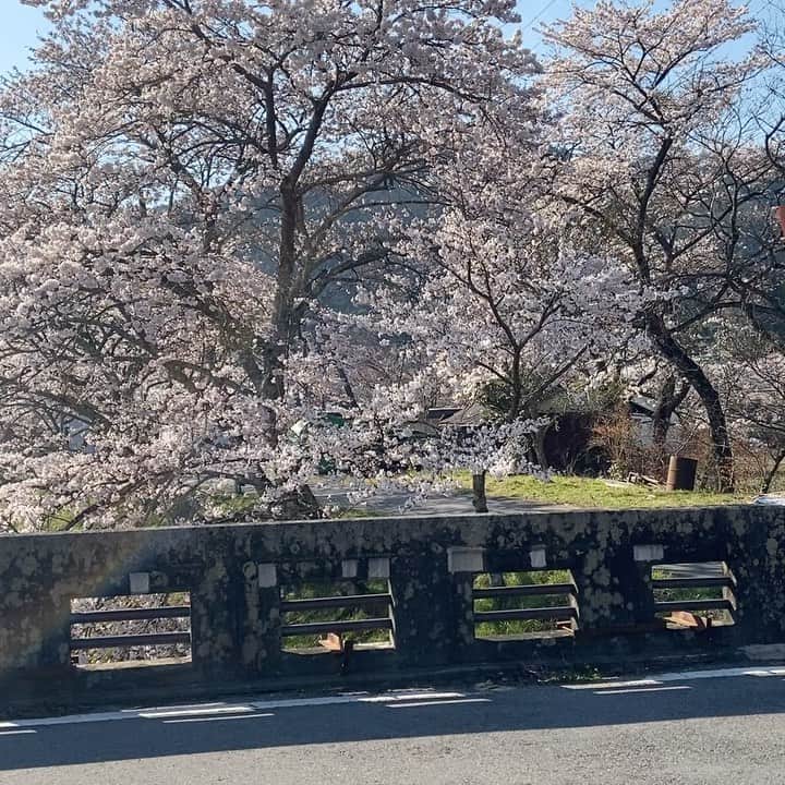 工藤村正のインスタグラム