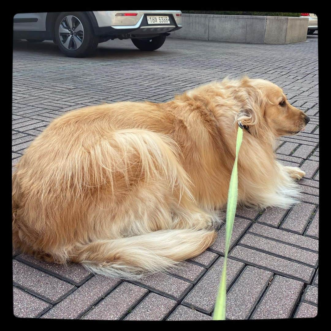 イ・ジョンシンさんのインスタグラム写真 - (イ・ジョンシンInstagram)「#대왕식빵🍞」4月9日 14時01分 - leejungshin91