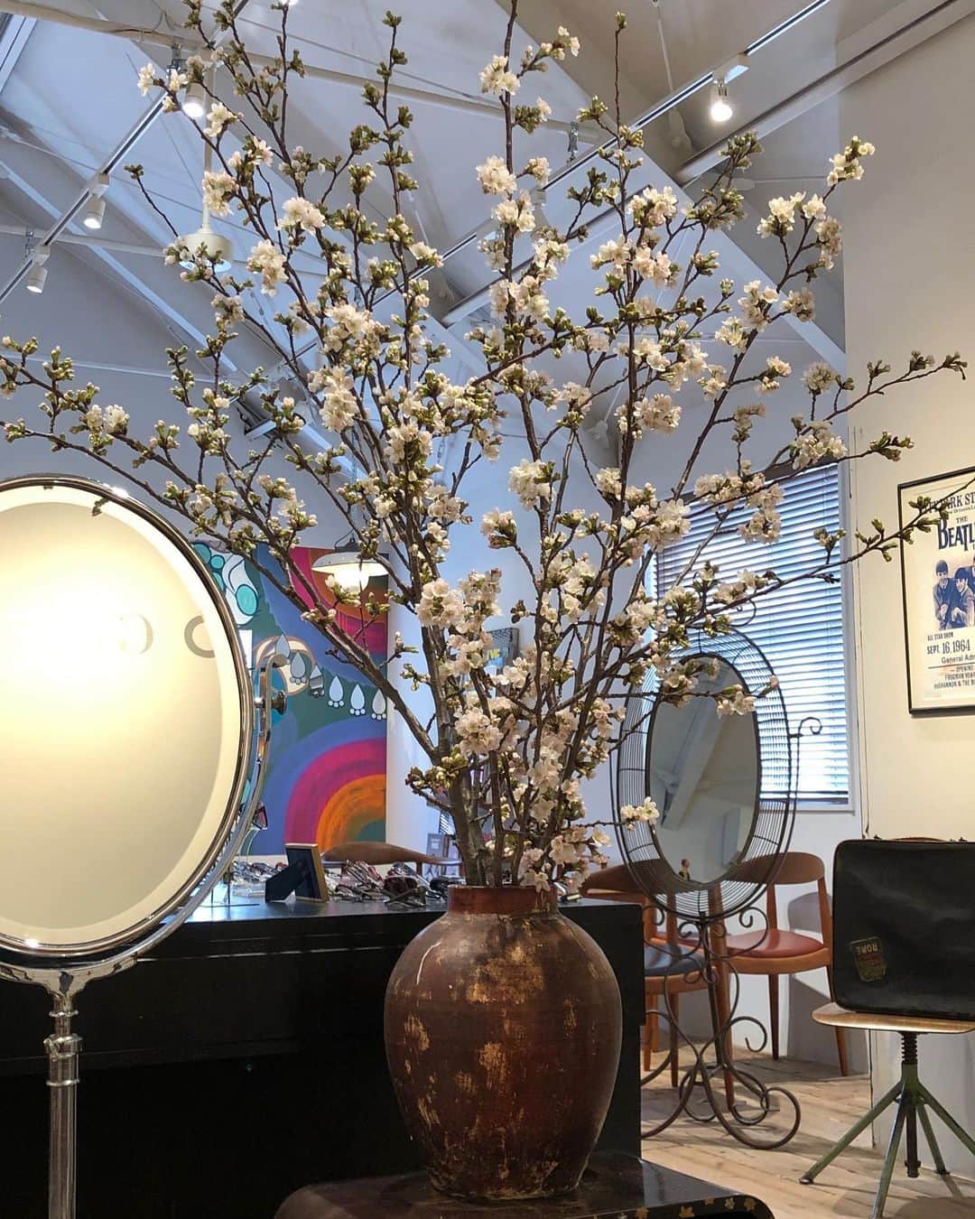 GLOBE SPECS_officialさんのインスタグラム写真 - (GLOBE SPECS_officialInstagram)「代官山店の植栽が変わりました。 吉野桜とレンギョウになります。  #windowdisplay #flower #green @chibi.flower  @globespecs_official  @globespecs_official  #wholesalebrand  #ahlem #anneetvalentineyewear  #gernotlindner #globespecs  #lescalunetier  #lunor #laloop  #dianetaylor #robertmarcnyc」4月9日 14時18分 - globespecs_official