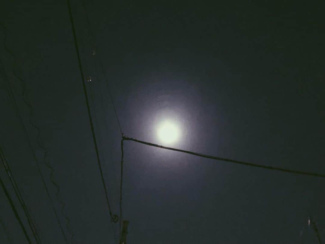 南波志帆さんのインスタグラム写真 - (南波志帆Instagram)「そういえば、月が綺麗でしたね。 #superpinkmoon #🌝」4月9日 14時43分 - nanbashiho