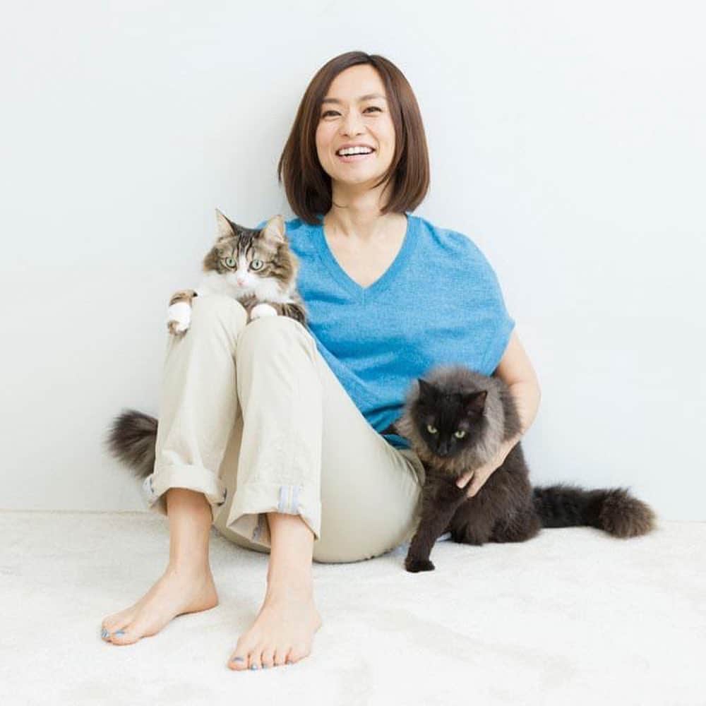 住吉美紀さんのインスタグラム写真 - (住吉美紀Instagram)「『 料理リレー 』 新型コロナで外出自粛が続きおうちで料理をする機会が増えている中、料理研究家 脇雅世先生が発起人となり始まった「料理リレー」。 簡単に家庭でできる料理レシピのバトンを料理家、料理人などが繋いでいます。  私は料理家ではないのですが、 最近、夫と『ミアヴァート珈琲』というカフェを開業し お店のお料理の考案やスイーツ作りをしているということで、料理家でシニアオイルソムリエの望月純子さんからバトンをお渡しいただきました。 美味しいは元気の源！特に今！ みなさまの食の楽しさの小さな小さな一助になればとってもうれしいです。  そして私は、お料理も人間性も大好きな Atelier Camellia sinensisオーナーシェフの 臼田文さんにバトンを繋ぎます。 うやさん、よろしくお願いします！  さて、ご紹介するレシピは、 辛いものが苦手な私が おうちご飯で頻繁で作っていたら 夫が気に入ってカフェのメニューにも取り入れた 辛いものが苦手なお子さんでもイケるご飯メニューです。  辛くない麻婆豆腐どんぶり  材料　(２〜３人前） 合挽き肉 　200g  もめん豆腐 　2/3丁 キャベツ 　1/8個 長ネギ 　1/4本  甜麺醤 　大さじ2.5 鶏ガラスープ　　150cc 醤油 　大さじ1.5 酒 　大さじ1.5 みりん 　大さじ1  オリーブ油など　大さじ1/2 片栗粉 　大さじ3/4（水 大さじ１）  作り方 ①木綿豆腐は1.5cmほどの角状に切る。長ネギ、キャベツをみじん切りにする。 ②深めのフライパンを中火で熱してオリーブ油を入れ、長ネギとキャベツの順番に入れ、少ししんなりするくらい炒める。 ③合挽き肉を加え、軽くフライパンの底で焼き付けてから甜麺醤を入れ、切るように挽き肉をほぐしながら、野菜とも均等に混ぜるように炒める。 ④鶏がらスープ、醤油、酒、みりんを加え、煮立ってきたら豆腐を加え、スープが少なくなるまで5~10分ほどクツクツと煮る。混ぜるときは豆腐が崩れないように優しく。 ⑤一度火を止めて、水に溶いた片栗粉を回し入れ、もう一度火をつけて混ぜながらとろみを付ける。 ⑥どんぶりにご飯をよそい、麻婆豆腐を乗せて盛り付ける。  補足 ・少し辛くしたい時には、甜麺醤と一緒に豆板醤を少々入れてください。辛くしたい家族メンバーだけ食べるときにラー油や花椒をかけても良し。甜麺醤の量もお好みで少し増減しても大丈夫です。 ・キャベツの代わりに、小松菜や人参、こぼうなど残り物の野菜をみじん切りして入れちゃってもOK。食感は肉肉していますが、実は野菜もいっぱい摂れるのがナイスなんです。 ・彩りのフルーツトマトなどはお好みで。  #おうち時間 #うちで過ごそう #stayhome #料理リレー #cookingrelay #望月純子 #住吉美紀 #臼田文 #脇雅世宮川順子うすいはなこ藤田順子寺本りえ子鈴木詩穂子宮崎里恵望月純子住吉美紀 #miavatocoffee #ミアヴァート珈琲」4月9日 14時46分 - miki_sumiyoshi