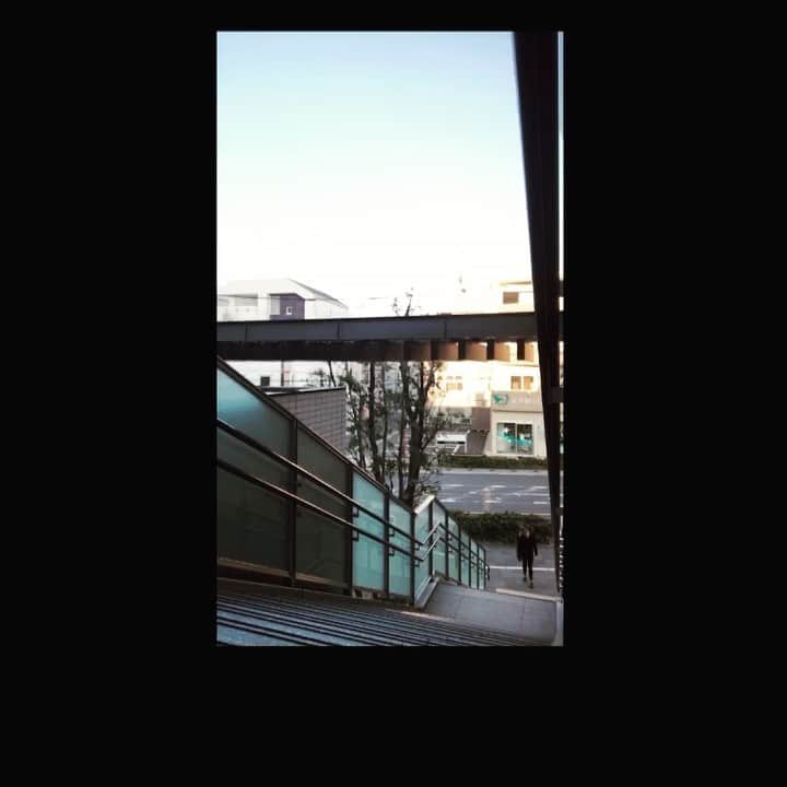 平野ジェニファーのインスタグラム：「#nodaysoff (did this 20 times as my warmup for the day) • Quarantine means I have more time to workout :) #keepthingspositive • • • #workhard #ihaterunning #socialdistancing #quarantine #2020 #nogym #ineedmygymback #golfer #progolfer #practice #stairmaster #instagym #instadaily #instawesome #happy #healthy #fit #longhair #myprotein #spring #japan #positive #love #me」