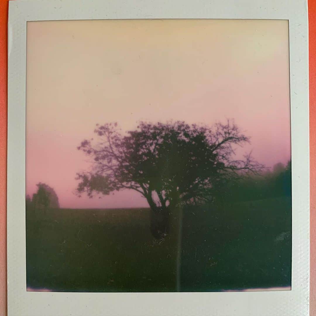 ブリット・マーリングのインスタグラム：「Cleaning house and finding polaroids I have shot over the years 🍃」
