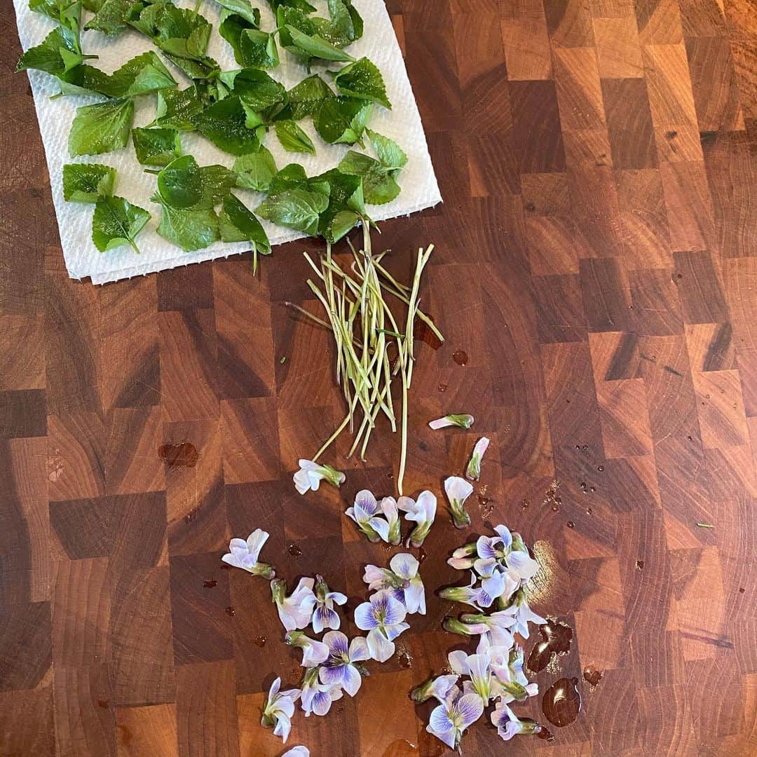 シェリ・ムーン・ゾンビさんのインスタグラム写真 - (シェリ・ムーン・ゾンビInstagram)「I’m learning to identify, gather and prepare wild edibles. Today I found wild violets, gathered, rinsed, sorted by leaf and stem and flower and made a warm red potato salad with a bit of veganaisse and violets. #quarantinelife #veganpotatosalad #wildviolets」4月9日 8時15分 - sherimoonzombieofficial