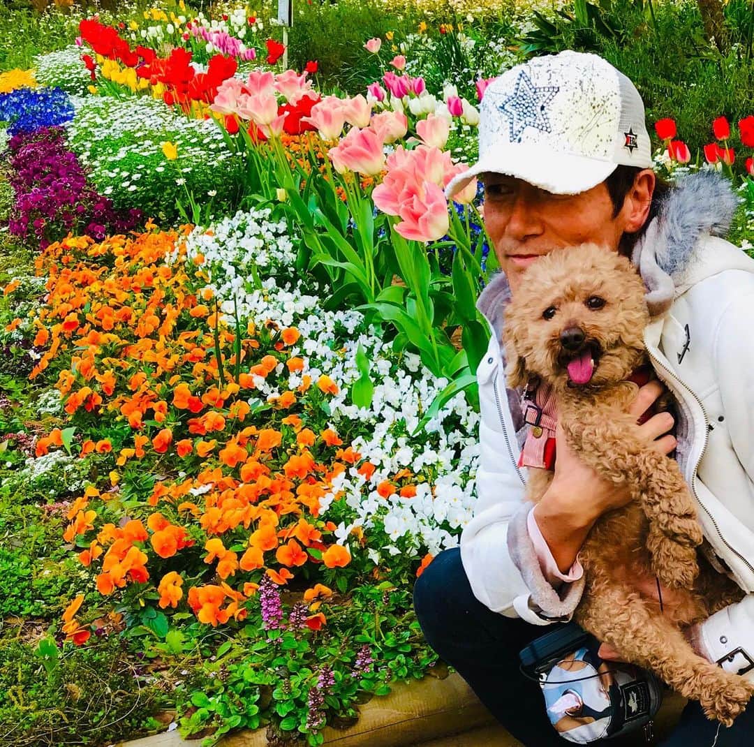 マイケル富岡のインスタグラム：「モコ ゴキゲン♡ #愛犬 #愛犬家 #癒し #love #mybaby #beautiful #nature #flowers #actorslife #actor #shooting #マイケル富岡 #タレント #俳優 #撮影 #idcmarjun #gah #generalamericanhome #walkingmybaby #staysafe #自粛 #免疫力アップ」