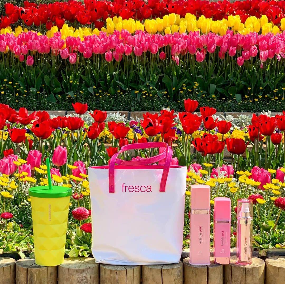 mii_stagramさんのインスタグラム写真 - (mii_stagramInstagram)「🌷🌷🌷🌷🌷 . #お気に入りコスメ @frescaskin ✔️ ♡f⃞  r⃞  e⃞  s⃞  c⃞  a⃞♡ . . 何度もリピしてる大ファン💓 ★サティスファイングモイスチャーセラム【美容液】 本気で肌を変えたい方 本気で肌を美しくしたい方にオススメ💕 アスタキサンチン、ヒアルロン酸、 3つのハーブの力が お肌の老化現象となる 活性酸素にアプローチ👵⚔️ シミやくすみ、肌のごわつきに効果的で 肌が柔らかくパックした後のような みずみずしさと潤いを実感✨✨ . . 両手で顔を包み込むように 10秒のハンドプレスが 決めてです👐👐👐💕 . . ★アクアクレンジングインローション【洗顔料&化粧水】 拭き取るだけで時短クレンジング 洗顔＆保湿化粧水効果まで💕 クレンジング＝つっぱり乾燥❌ 肌が乾燥しないでモチモチに クレンジングもできて化粧水効果も バッチグー(๑•̀╰╯-)و.｡.:*✧💕💕 . . . ★アクアモイストリッチクリーム【美容液クリーム】 美容液と保湿クリームが一つになった 乾燥知らずの濃厚美容液クリーム💕 天然保湿成分のクレソンパワーで 肌水分をUP⬆️ さわやかなリラックスベリーの香りで 癒されながら 忙しい女性もさっとひと塗りで 完璧保湿✨✨ . . ピンクのパッケージも女性心を くすぐるよね💓 この日1番のお気に入り写真たち。 どれを1枚目にするか悩む🤣 . . . . 👭… @joliedoll_official . 🌷… @ashikaga_flower_par . . . @frescaskin  #fresca#フレスカ . . . #コスメ#スキンケア#美容#コスメマニア #コスメ好き #コスメオタク #コスメ購入品 #コスメレポ #コスメコンシェルジュ #スキンケアマニア #スキンケア用品 #アンチエイジング#エイジングケア#コスメ好きさんと繋がりたい #美容好きな人と繋がりたい #🌷#チューリップ #ちゅーりっぷ #季節の花#花マップ#はなまっぷ#足利フラワーパーク #景色#風景#誰かに見せたい景色 #誰かに見せたい風景 #インフルエンサー . ✩ ⋆ ✩ ⋆ ✩ ⋆ ✩ ⋆ ✩﻿ ⋆ ✩ ⋆ ✩﻿ 見て下さった方 (*´︶`*)♡Thanks!🌷🌷🌷🌷🌷」4月9日 10時21分 - miyuki.0419.karemari