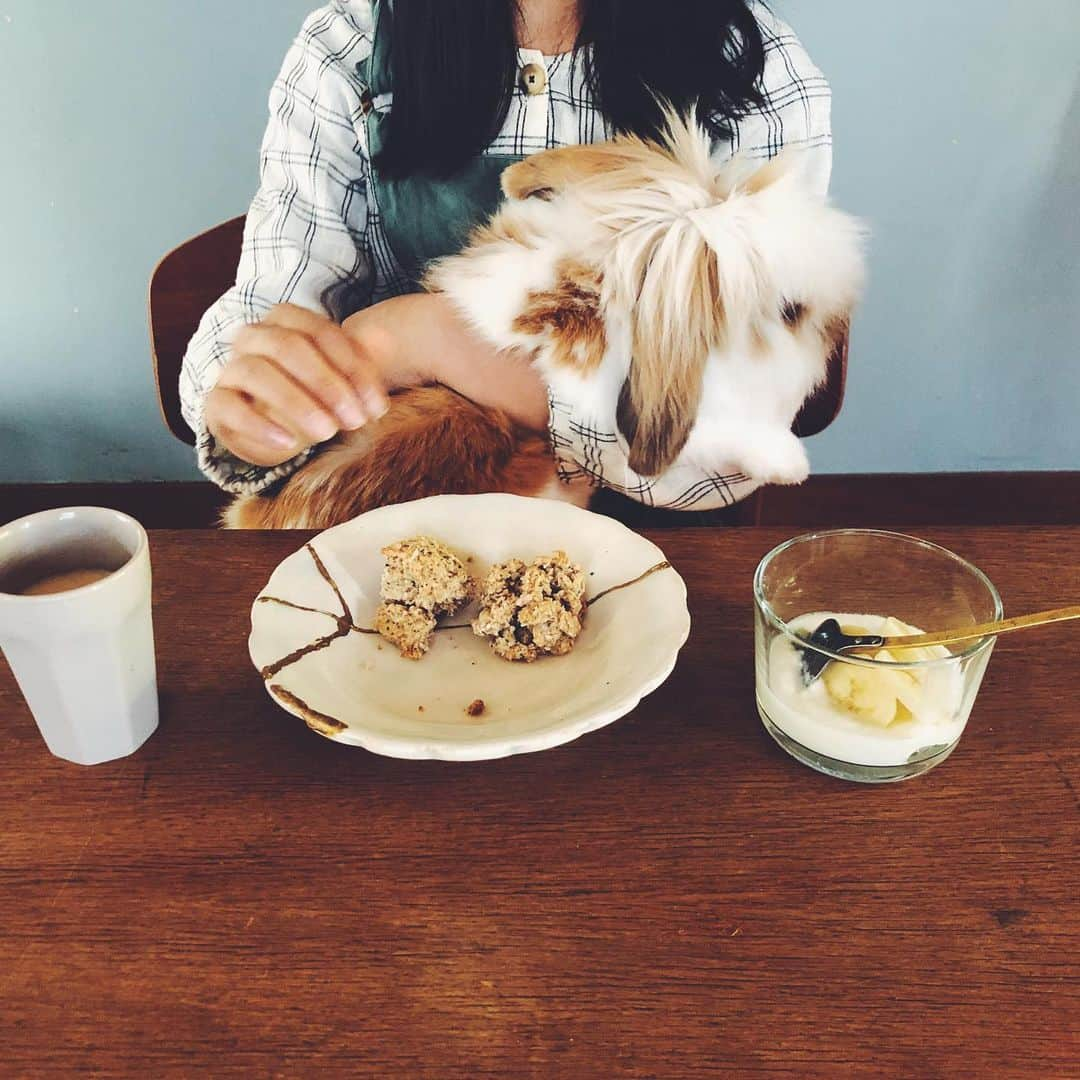 nonさんのインスタグラム写真 - (nonInstagram)「花種さんがご飯食べてると飛び乗ってくるバター。 相思相愛👧🐰 家族カレンダー更新しました。  4月8日「風圧で」 風圧でグラつくひょーさんの歯について。。。 プロフィールよりとべます」4月9日 10時24分 - non19841120