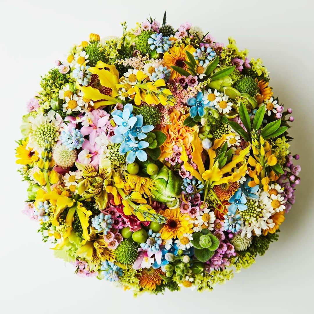 椎木俊介のインスタグラム：「Flowers #東信花樹研究所 #東信 #shiinokishunsuke #makotoazuma #azumamakoto #amkk #amkkproject #flowers #flowerart」
