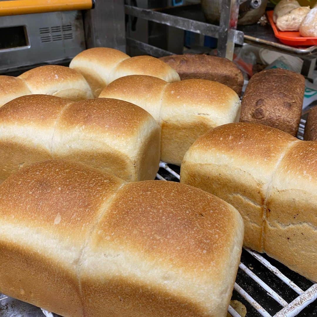 魔女菅原のグルメインスタ