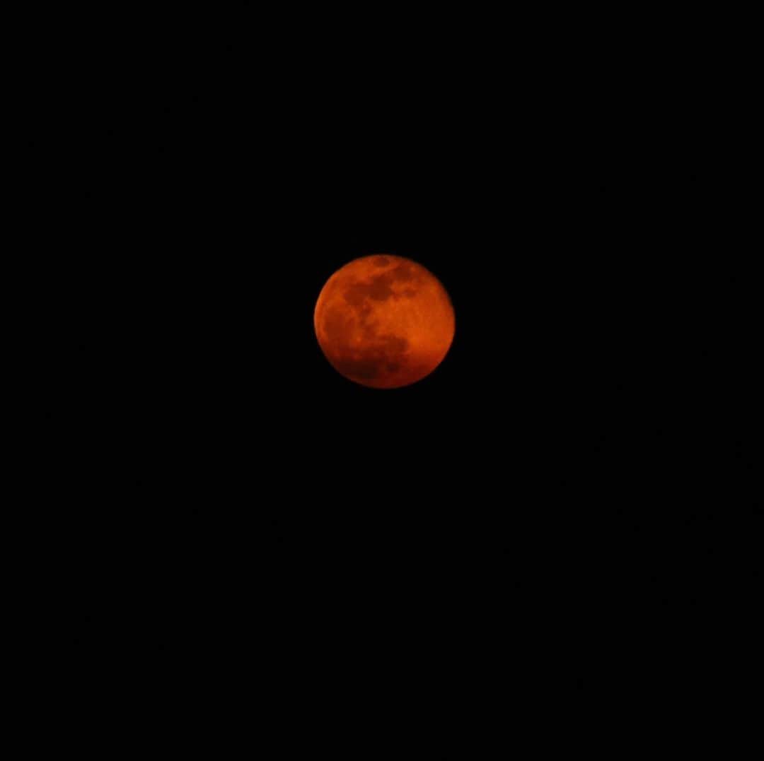 Rozinaさんのインスタグラム写真 - (RozinaInstagram)「#bloodmoon #april8 #nofilters #astrophotography #moon #photography #space #stunning #breathtaking」4月9日 12時57分 - rozinataguchi