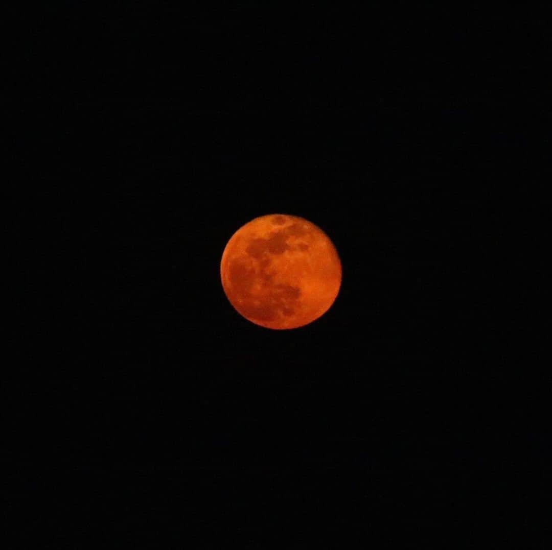 Rozinaさんのインスタグラム写真 - (RozinaInstagram)「#bloodmoon #april8 #nofilters #astrophotography #moon #photography #space #stunning #breathtaking」4月9日 12時57分 - rozinataguchi