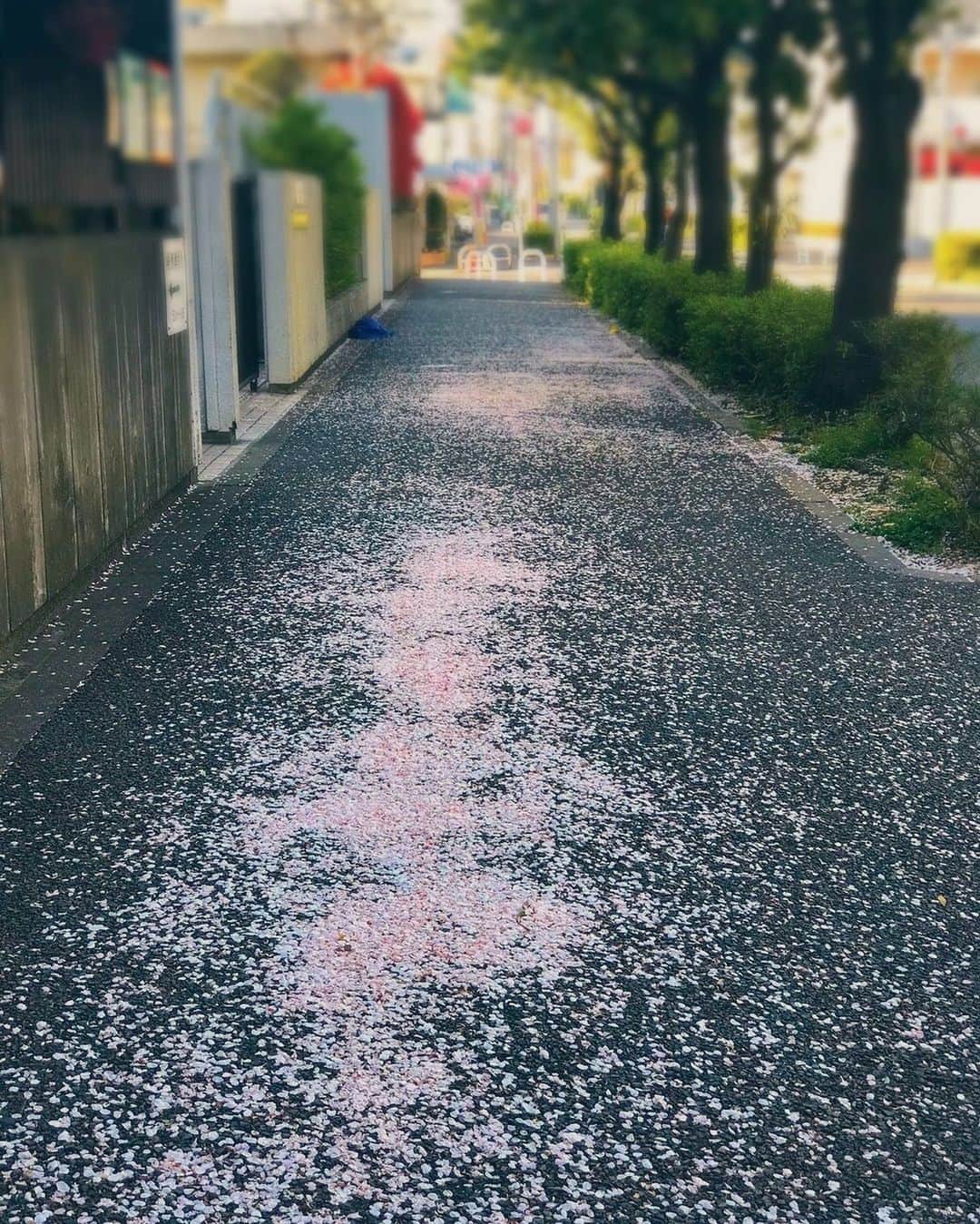 のインスタグラム：「車が通り過ぎて風のかたちが見えました 何が自分を幸せにして何が自分を悲しくするのかもっとちゃんと知りたいな」