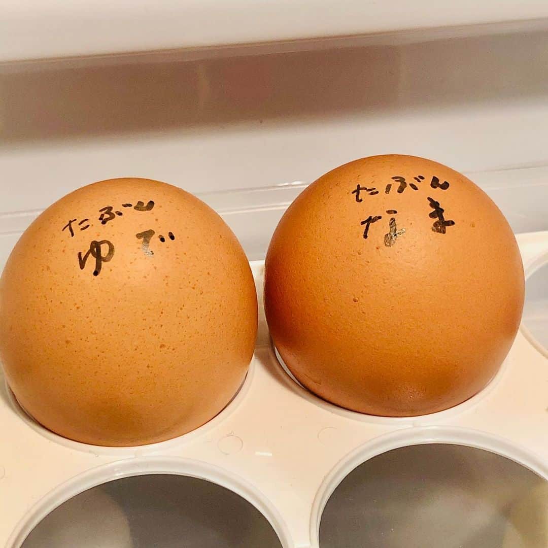 中嶋ユキノさんのインスタグラム写真 - (中嶋ユキノInstagram)「‪生卵とゆで卵。‬ ・ ‪どっちが、どっちか、わからなくなりそうだったから、名前つけた。‬ ・ ‪🥚🥚✨‬ ・ #卵 #生卵 #ゆで卵」4月9日 13時21分 - nakajima_yukino