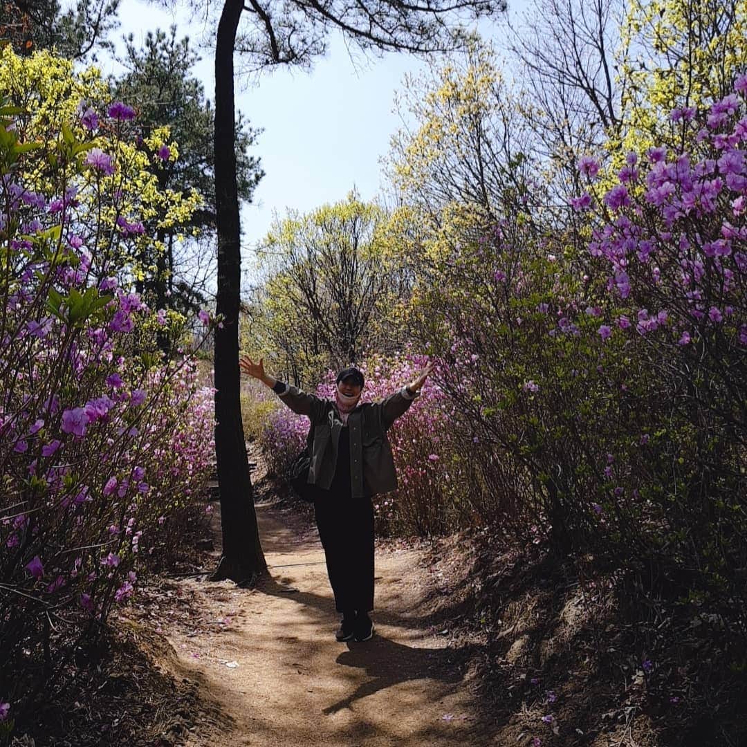 チ・スウォンさんのインスタグラム写真 - (チ・スウォンInstagram)「#청계산 #진달래능선 #어떨결 참좋네^^ #동네키큰아주머니 오늘 참석 못한 사람들 후회할걸? ㅎㅎ」4月9日 13時27分 - chorock_mom