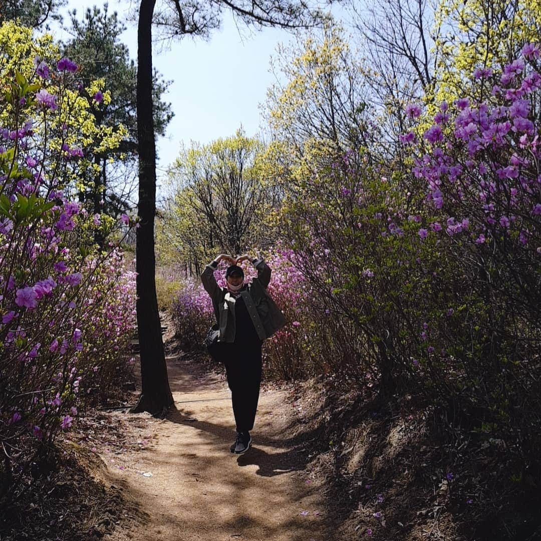 チ・スウォンさんのインスタグラム写真 - (チ・スウォンInstagram)「#청계산 #진달래능선 #어떨결 참좋네^^ #동네키큰아주머니 오늘 참석 못한 사람들 후회할걸? ㅎㅎ」4月9日 13時27分 - chorock_mom