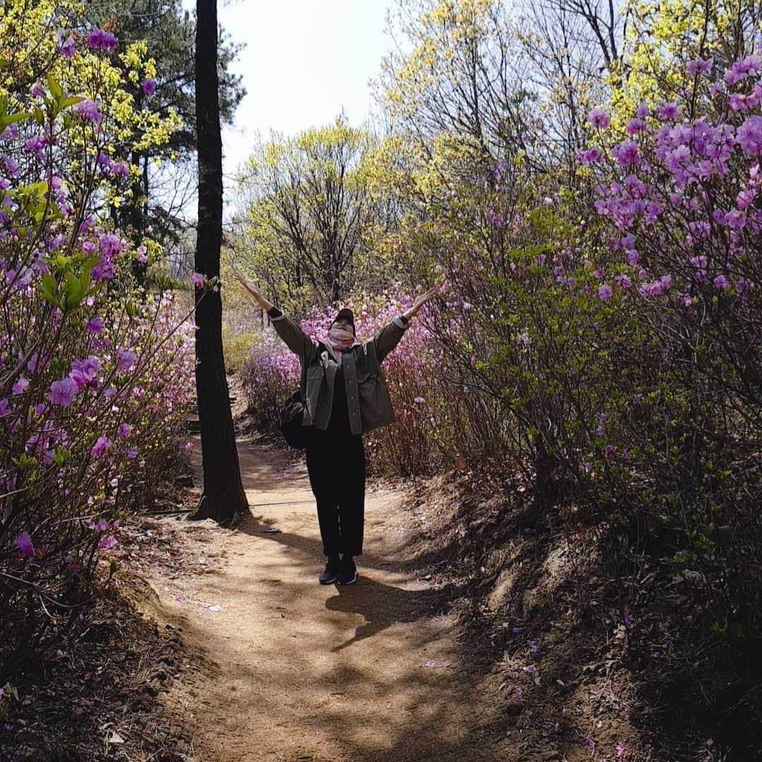 チ・スウォンさんのインスタグラム写真 - (チ・スウォンInstagram)「#청계산 #진달래능선 #어떨결 참좋네^^ #동네키큰아주머니 오늘 참석 못한 사람들 후회할걸? ㅎㅎ」4月9日 13時27分 - chorock_mom