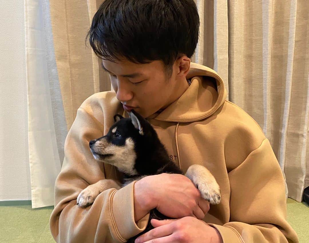 朝倉海さんのインスタグラム写真 - (朝倉海Instagram)「柴犬の大吉くん🐾」4月9日 23時07分 - kai_asakura_