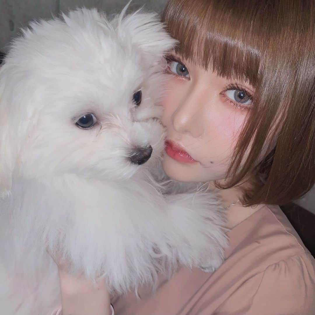 戦慄かなののインスタグラム