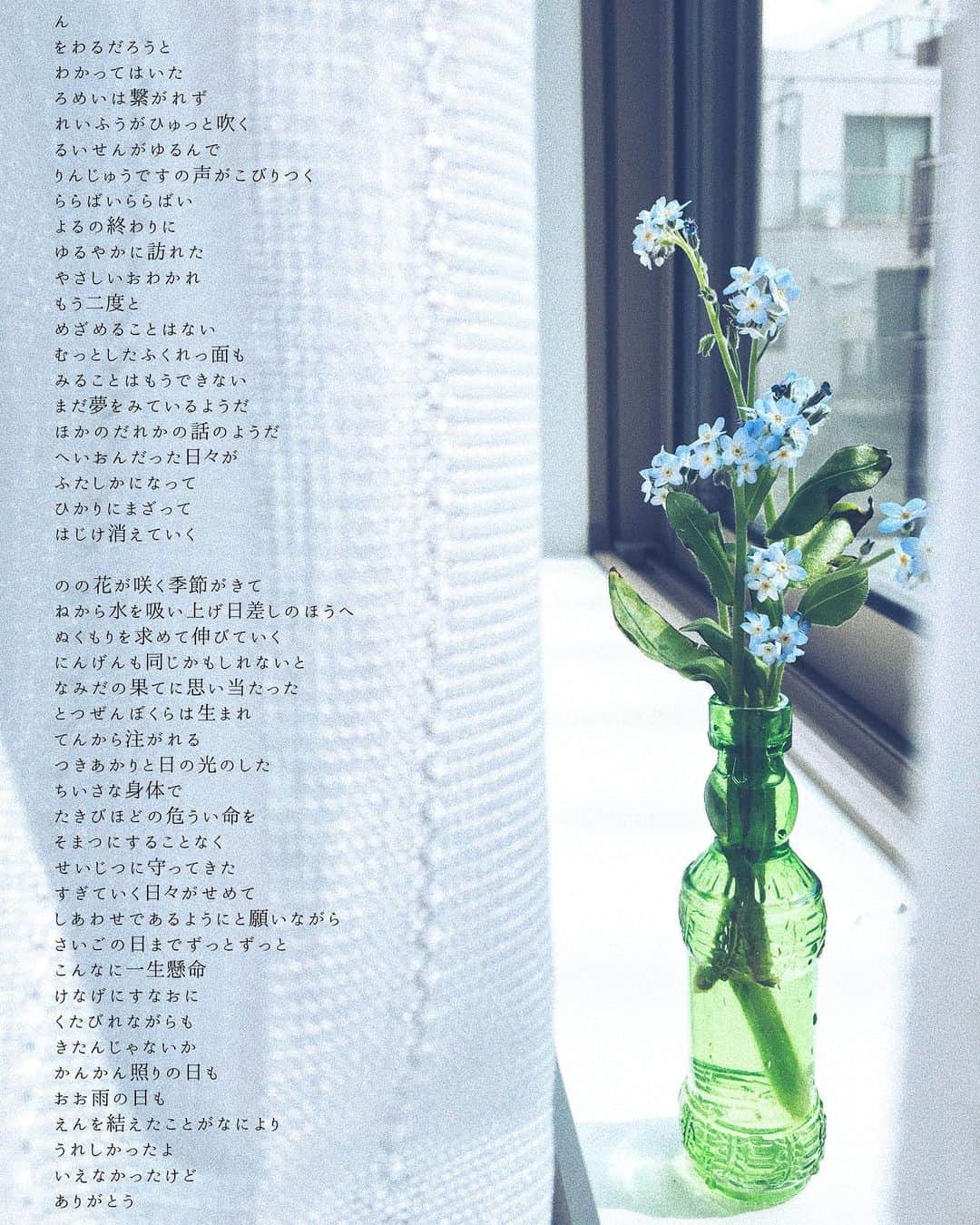 さえりさんのインスタグラム写真 - (さえりInstagram)「あいうえお作文、今回は終わりを表す「ん」からスタートしました。  #日本語　#言葉　#あいうえお作文」4月9日 23時29分 - n908sa