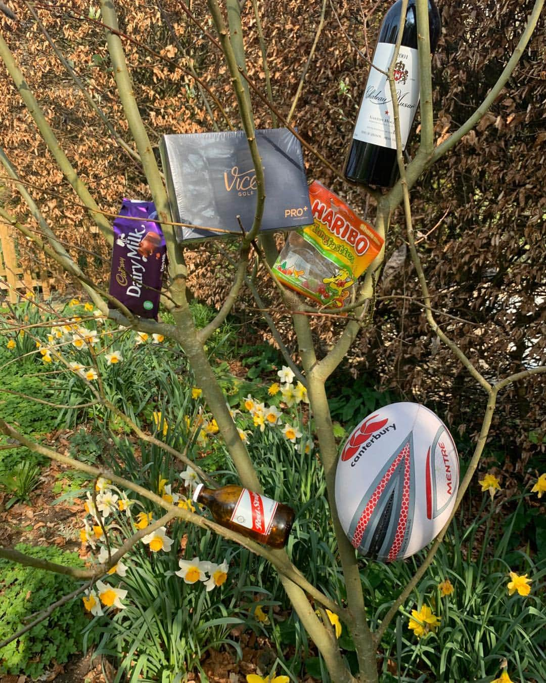 ジェイミー・ドーナンのインスタグラム：「SO glad I planted this tree a few weeks ago!」