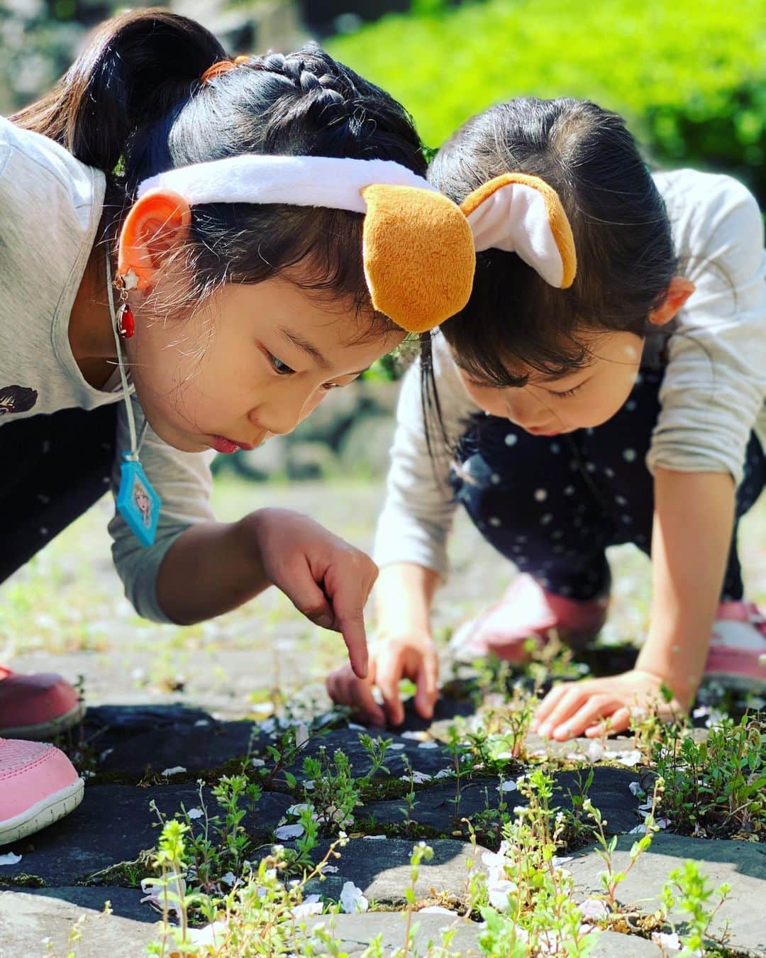 伊藤孝恵さんのインスタグラム写真 - (伊藤孝恵Instagram)「保育園も学童もお休みの1か月は…本を読む。宿題をする。料理をする。ダンスをする。相撲をとる。花の種を植える。オタマジャクシを観察する。書道を始める。家の周りを冒険する。イチャイチャする。手洗いうがいも忘れずに。  #休校中の過ごし方  #お家時間 #お家で楽しむ #お家遊び #stayhome #手洗いうがい #新しい発見 #冒険 #姉妹 #仲良し #お揃い #お揃いスニーカー #カチューシャ #オシャレ女子 #7歳女子 #5歳女子 #元気の源 #愛娘 #参議院議員 #国民民主党  #2児の母 #女の子ママ #ワーママ #Domani #ドマーニ #domanist  #伊藤たかえ #伊藤孝恵」4月9日 16時01分 - itotakae
