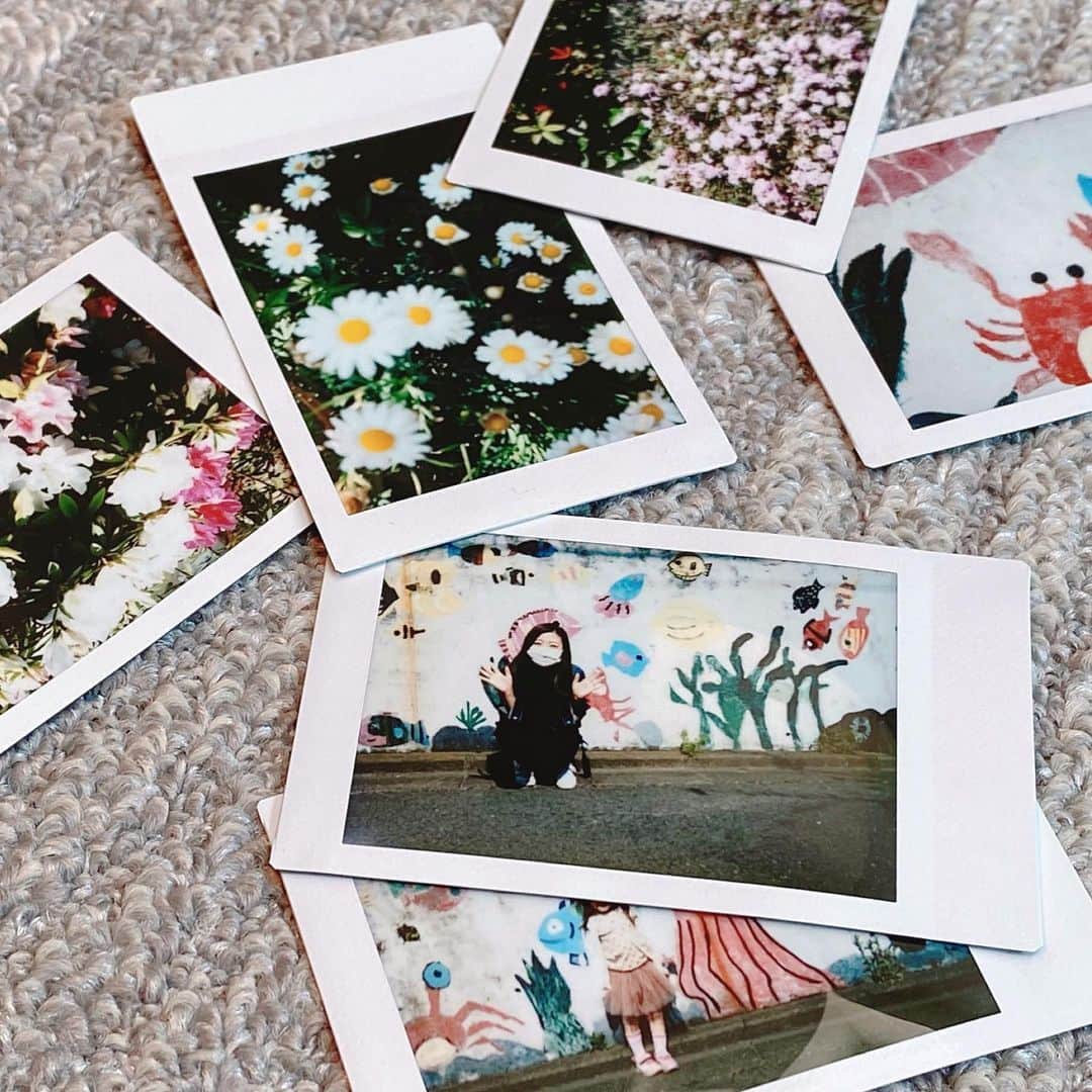 Tiaraさんのインスタグラム写真 - (TiaraInstagram)「今日は、道端で見つけた素敵な物をカメラで撮ろう！というテーマで、お家の周りをのんびりお散歩📷✨﻿ ﻿ 人通りが無い道を選んでただ家の周りを歩いただけだけど、色々な発見があって面白かった〜(^ ^)﻿ ﻿ 娘が撮った写真達も味があって良い感じ💕﻿ ﻿ ﻿ 屋外への運動や散歩は自粛制限されていませんので、身体と心の健康の為にも上手く気分転換しながら過ごしましょう✨﻿ とか言いつつ、明日は何をして過ごそうか毎日悩みますね😅 ﻿. . . #お散歩　#ポラロイドカメラ﻿ #LEICASOFORT﻿ #4歳6ヶ月 #コロナ自粛生活中 #自粛生活の過ごし方 #tokyo #japan」4月9日 16時06分 - tiara0902
