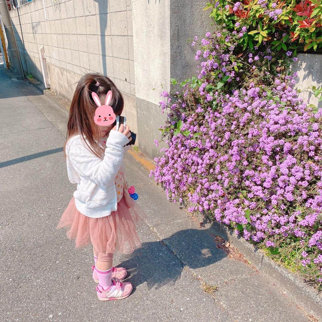 Tiaraさんのインスタグラム写真 - (TiaraInstagram)「今日は、道端で見つけた素敵な物をカメラで撮ろう！というテーマで、お家の周りをのんびりお散歩📷✨﻿ ﻿ 人通りが無い道を選んでただ家の周りを歩いただけだけど、色々な発見があって面白かった〜(^ ^)﻿ ﻿ 娘が撮った写真達も味があって良い感じ💕﻿ ﻿ ﻿ 屋外への運動や散歩は自粛制限されていませんので、身体と心の健康の為にも上手く気分転換しながら過ごしましょう✨﻿ とか言いつつ、明日は何をして過ごそうか毎日悩みますね😅 ﻿. . . #お散歩　#ポラロイドカメラ﻿ #LEICASOFORT﻿ #4歳6ヶ月 #コロナ自粛生活中 #自粛生活の過ごし方 #tokyo #japan」4月9日 16時06分 - tiara0902
