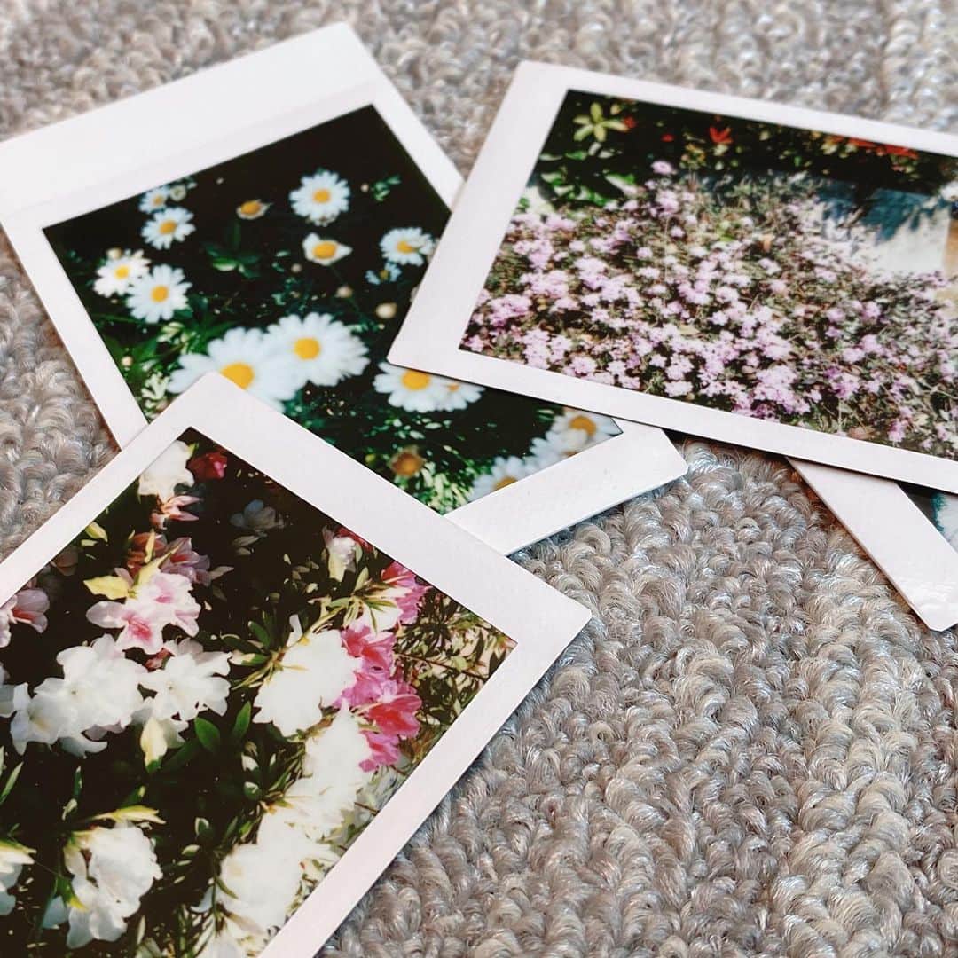 Tiaraさんのインスタグラム写真 - (TiaraInstagram)「今日は、道端で見つけた素敵な物をカメラで撮ろう！というテーマで、お家の周りをのんびりお散歩📷✨﻿ ﻿ 人通りが無い道を選んでただ家の周りを歩いただけだけど、色々な発見があって面白かった〜(^ ^)﻿ ﻿ 娘が撮った写真達も味があって良い感じ💕﻿ ﻿ ﻿ 屋外への運動や散歩は自粛制限されていませんので、身体と心の健康の為にも上手く気分転換しながら過ごしましょう✨﻿ とか言いつつ、明日は何をして過ごそうか毎日悩みますね😅 ﻿. . . #お散歩　#ポラロイドカメラ﻿ #LEICASOFORT﻿ #4歳6ヶ月 #コロナ自粛生活中 #自粛生活の過ごし方 #tokyo #japan」4月9日 16時06分 - tiara0902