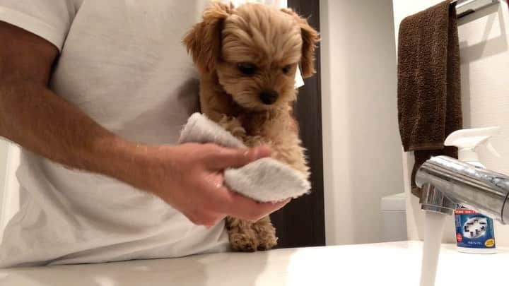 浅野宏明のグルメインスタ