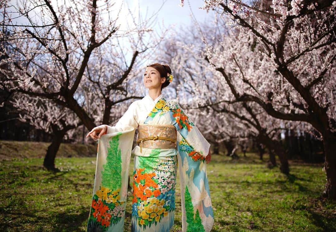 イルコ光の魔術師のインスタグラム：「わぁ、桜と着物で撮影最高だね❗️Sigma 28mm f/1.4で撮影、当然フル開放です❗️左からストロボ1灯でライティングで、ルーセントアンブレラ使用❗️. . モデル: @sakura.0510 . . 新しい @ilkomobile アカウントにiPhoneで撮ってるポートレートもアップしますよ！いい光があればカメラ&レンズはなんでもいいと思います . . #ストロビスト #ポートレート #花見 #135mm #Sigma #instagramjapan #青森 #東京カメラ部 #ig_today #igersjp #tokyocameraclub #instalike #instagramhub #team_jp_ #vscogoodshot #strobist #strobistlighting #portrait_perfection #iphonephotography #イルコ #光の魔術師 #桜 #instagramhub #カメラ女子 #iphoneography  #lovers_nippon #ファインダー越しの私の世界 #写真好きな人と繋がりたい #portrait」
